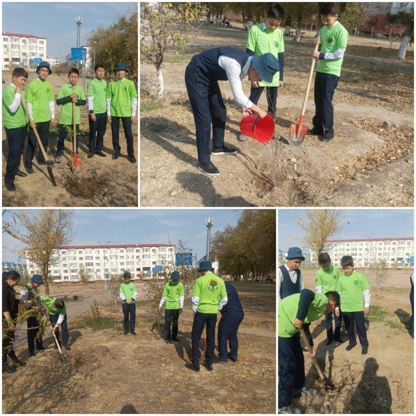 25 қазан Республика күніне орай ағаш егу жұмысы.